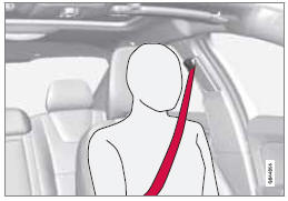 Ceinture de sécurité correctement placée.