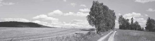 Le respect de l'environnement est l'une des