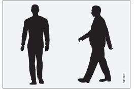 Exemples parfaits de ce que le système considère